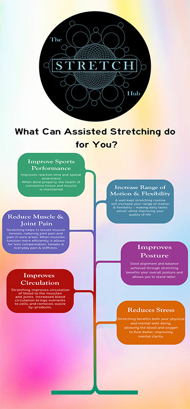 Chiropractic Dahlonega GA The Stretch Hub Banner